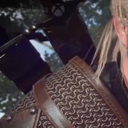 Witcher 3: Wild Hunt, The: bandicam 2014-06-10 17-10-26-736.jpg